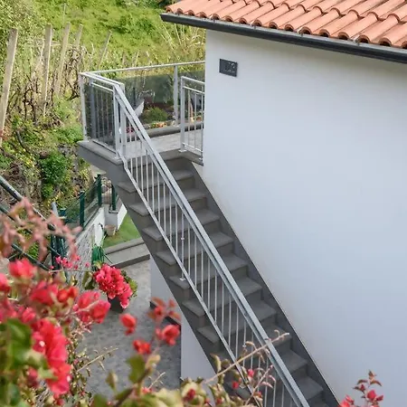 Apartment Vivenda Carlota Sea View By Mth Ribeira Brava